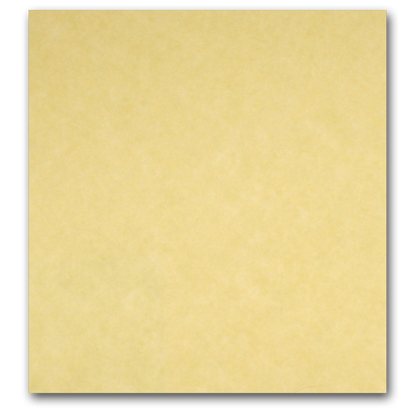Neenah Paper Astroparche Cardstock, 65lb, 8.5 x 11, 250/Pack (26428)