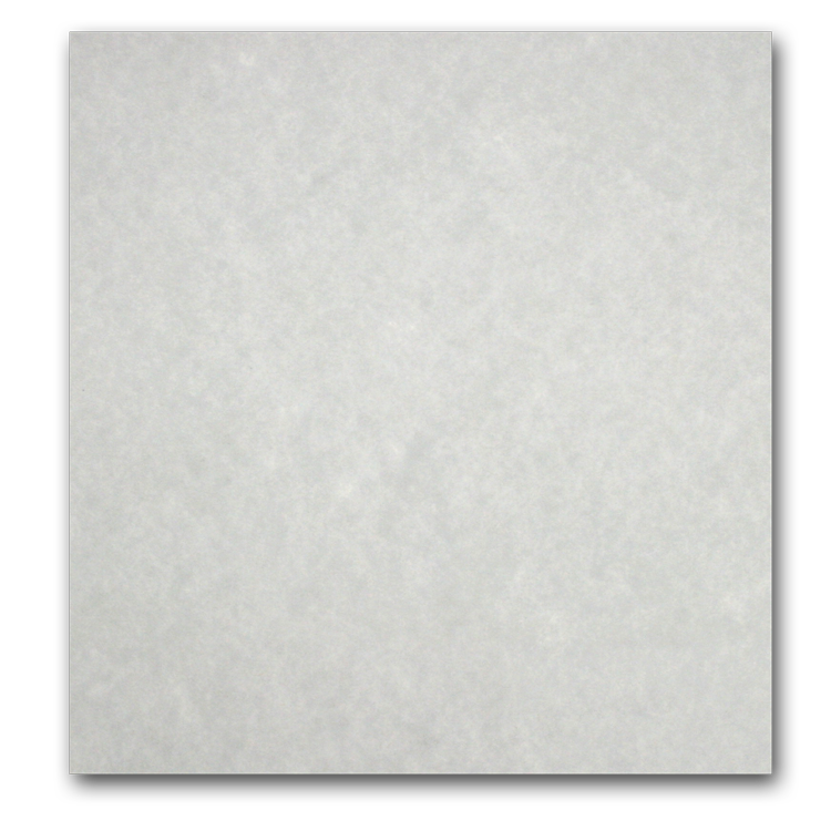 Cougar White Digital Smooth - 11X17 Paper - 24/60Lb Text - 500 Pk