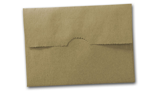 Brown Bag Kraft Envelopes No. 10 String & Button Closure