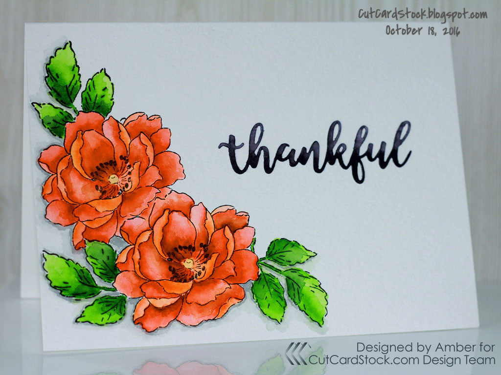 Cute Watercolor Cards, With Envelopes, Minimal Card Set 